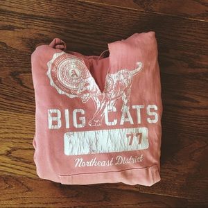American Eagle Pink Sweatshirt
